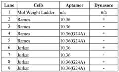 Figure imgf000312_0001