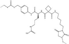Figure imgf000571_0002