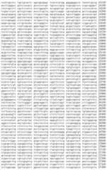 Figure IDA00002091897100291