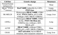 Figure imgf000013_0001