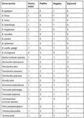 Figure imgf000031_0001