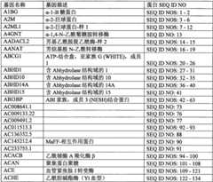 Figure BPA0000291811450002911