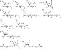 Figure FDA0003746740790000091