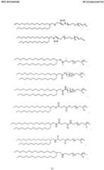 Figure imgf000032_0001