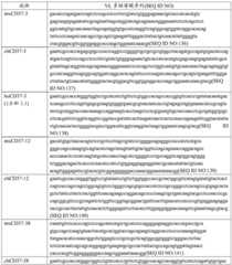 Figure GDA0002332994560000702