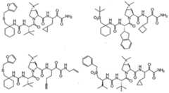 Figure imgf000300_0001