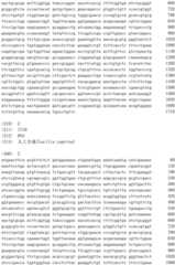 Figure BDA0001902795220000141