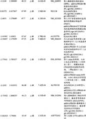 Figure BPA00001280678303351