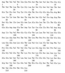 Figure 110110878-A0101-12-0181-147