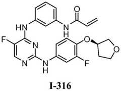 Figure BDA0001453135130003212