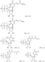 Figure imgf000647_0001