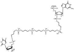 Figure imgf000031_0001