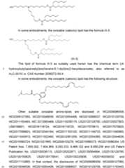 Figure imgf000020_0001