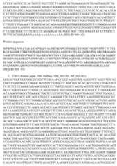 Figure imgf000107_0001