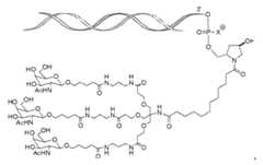 Figure imgf000012_0002
