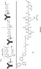 Figure imgf000083_0001