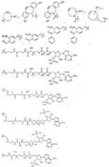 Figure imgf000021_0001