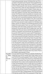 Figure BDA0004033970230005191