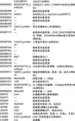 Figure BDA0000057170160001691