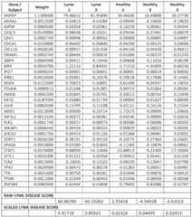 Figure imgf000056_0001