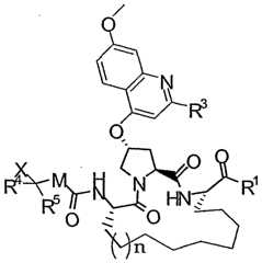 Figure imgf000538_0001