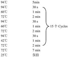 Figure BDA0002376975380000071