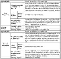 Figure imgf000116_0001