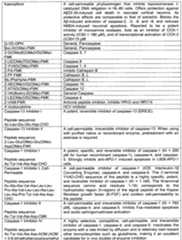 Figure imgf000064_0001