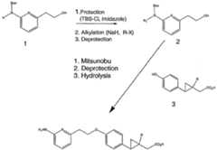 Figure imgf000051_0001