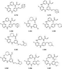 Figure BDA0001453135130000771