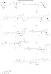 Figure US07723512-20100525-C00167