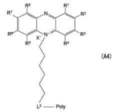 Figure JPOXMLDOC01-appb-C000030