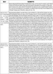 Figure BDA0003627552160000861