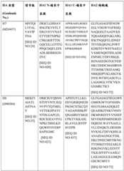 Figure BDA0004089703340001651