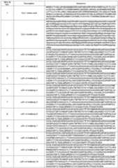 Figure imgf000024_0001