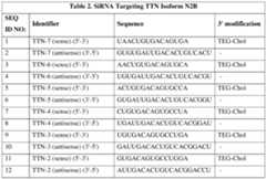 Figure imgf000028_0001
