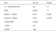 Figure BDA0002608191370000073