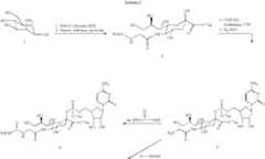 Figure US08247381-20120821-C00031