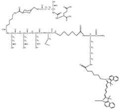 Figure imgf000021_0001