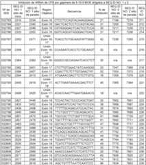 Figure imgf000046_0001