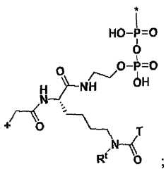 Figure imgf000125_0003