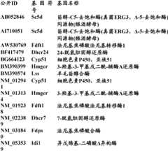 Figure BDA0000057170160002292