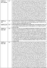 Figure imgf000131_0001