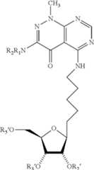 Figure US09211299-20151215-C00012