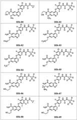 Figure BDA0003795483320000341