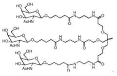 Figure imgf000169_0001