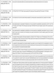 Figure BDA0003154168970000531