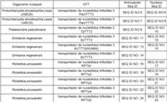 Figure imgf000041_0001