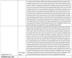 Figure imgf000251_0002