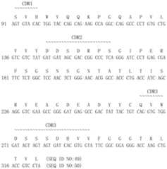 Figure PCTCN2015086216-appb-000010